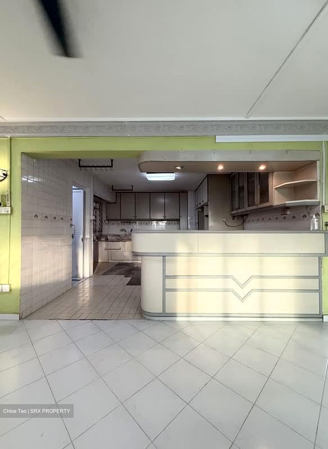 Blk 112 Mcnair Spring (Kallang/Whampoa), HDB 5 Rooms #563940581
